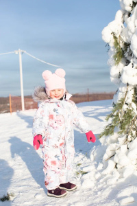 Комбинезон Фрост TF300 гр., winterday flowers